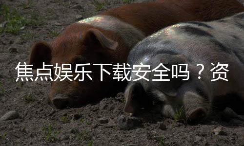 焦点娱乐下载安全吗？资深玩家实测体验与防坑指南