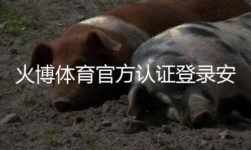 火博体育官方认证登录安全稳定可靠