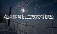 点点体育投注方式有哪些？新手入门、投注玩法与渠道全面解析