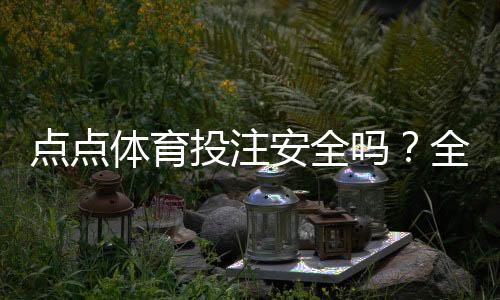 点点体育投注安全吗？全面安全性评估、风险提示与用户口碑分析