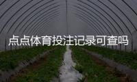 点点体育投注记录可查吗？账号投注与资金流水快速查询教程