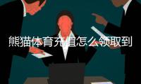 熊猫体育充值怎么领取到账？到账时间、延迟原因与快速解决方法