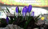 熊猫体育投注有操控吗？真相揭秘、风险评估与用户维权指南