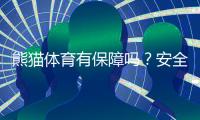 熊猫体育有保障吗？安全性、信誉与提现体验全面解析