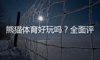 熊猫体育好玩吗？全面评测：玩法介绍、优缺点与新手上手指南