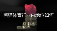 熊猫体育行业内地位如何？2026深度评估与竞争力分析