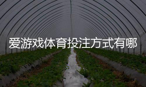 爱游戏体育投注方式有哪些？完整玩法分类与新手投注攻略