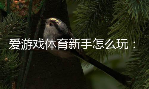 爱游戏体育新手怎么玩：完整入门攻略与常见玩法详解