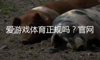 爱游戏体育正规吗？官网资质、用户口碑与安全性全面揭秘