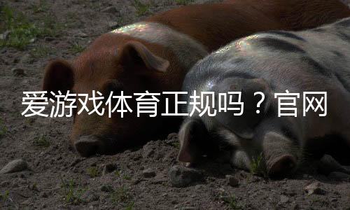 爱游戏体育正规吗?官网资质、用户口碑与安全性全面揭秘