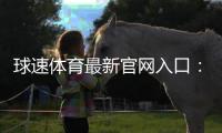 球速体育最新官网入口：快速注册指南与独家优惠活动