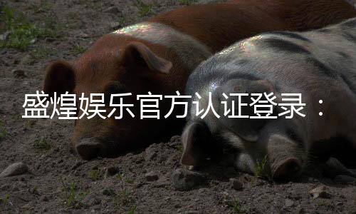 盛煌娱乐官方认证登录：安全便捷的一站式游戏入口