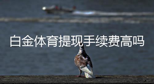 白金体育提现手续费高吗？：投注玩家的疑问