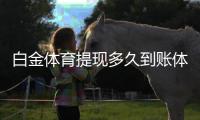 白金体育提现多久到账体育迷必看