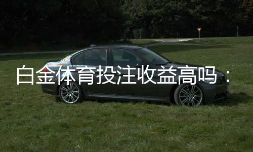 白金体育投注收益高吗：经验分享