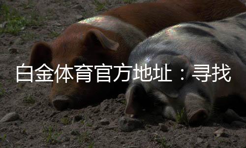 白金体育官方地址：寻找最佳投注体验