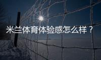 米兰体育体验感怎么样？真实观赛体验与场馆设施深度评测