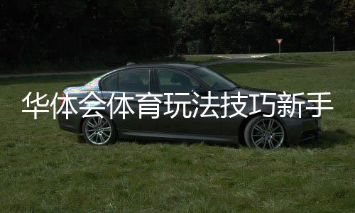 华体会体育玩法技巧新手必看：投注技巧、风险控制与实战策略