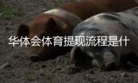 华体会体育提现流程是什么？新手必看提现步骤、到账时间与注意事项