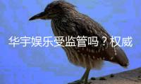 华宇娱乐受监管吗？权威解析其合法性与监管现状