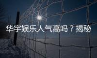 华宇娱乐人气高吗？揭秘其火爆原因与玩家真实评价