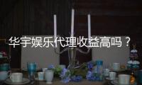 华宇娱乐代理收益高吗？揭秘高收益代理的实战经验与技巧