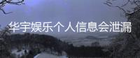 华宇娱乐个人信息会泄漏吗？深度解析平台安全性与防护措施