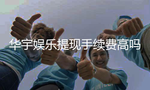 华宇娱乐提现手续费高吗？资深玩家解析费用详情与应对策略