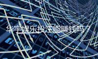 华宇娱乐投注能赚钱吗？揭秘真实盈利模式与实战技巧