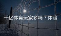 千亿体育玩家多吗？体验分享