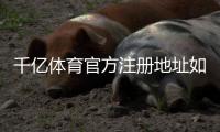 千亿体育官方注册地址如何选择最优平台？