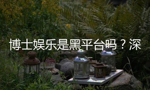 博士娱乐是黑平台吗？深度解析平台安全性与玩家真实体验