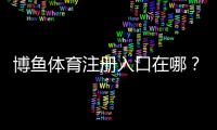 博鱼体育注册入口在哪？2026最新官方注册流程、实名认证与常见问题解答