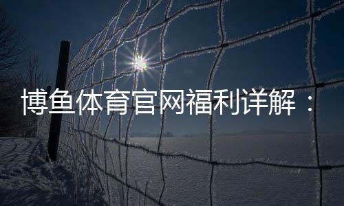 博鱼体育官网福利详解:2026最新新人礼包、充值返利与领取攻略