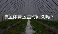 博鱼体育运营时间久吗？运营年限、资质认证与用户口碑全面解析
