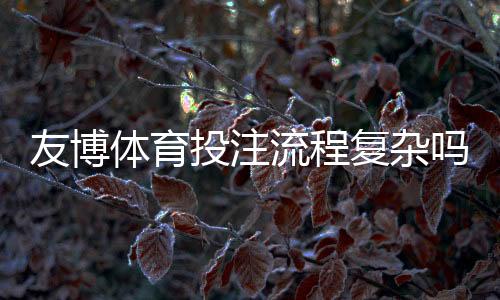 友博体育投注流程复杂吗？新手图文分步教学手把手快速上手