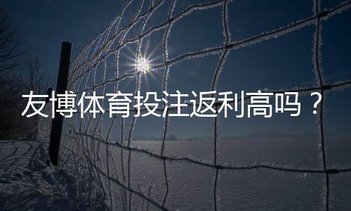 友博体育投注返利高吗？一文看懂返利比例、领取方法与注意事项