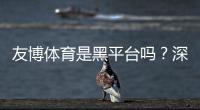友博体育是黑平台吗？深度评测与真实用户投诉分析