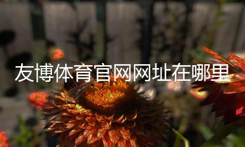 友博体育官网网址在哪里？最新版官方入口、登录方法与安全访问指南