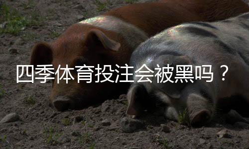 四季体育投注会被黑吗？平台安全性真实分析与用户防护指南