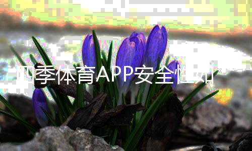 四季体育APP安全性如何？账户、支付与隐私全方位评测