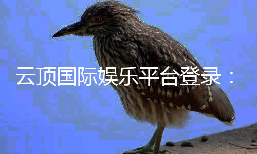 云顶国际娱乐平台登录：畅享顶级棋牌电游的尊贵体验