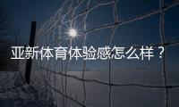 亚新体育体验感怎么样？真实用户评测与优缺点全面解析