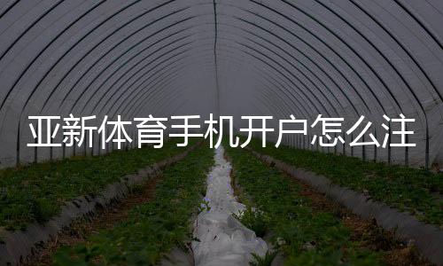 亚新体育手机开户怎么注册？新手图文教程、验证流程与常见问题详解
