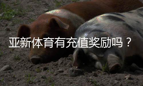 亚新体育有充值奖励吗？充值奖励类型、领取步骤与注意事项全面解析