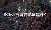亚新体育官方地址是什么？最新官网入口、验证方法与访问技巧详解