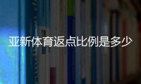 亚新体育返点比例是多少？最新返点政策与计算方法详解