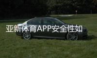 亚新体育APP安全性如何？隐私保护、资质与支付安全全面解析