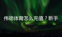 伟德体育怎么充值？新手充值步骤、支付方式与安全注意事项全攻略