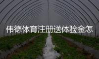伟德体育注册送体验金怎么领取？2026新手领取流程、使用规则与风险提示